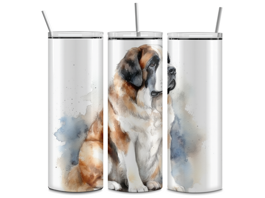 Saint Bernard