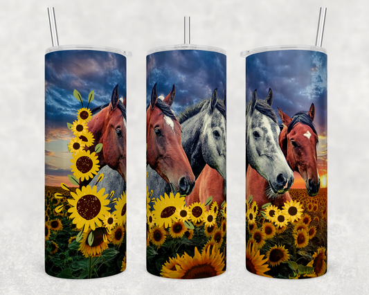 Horse Sunflower