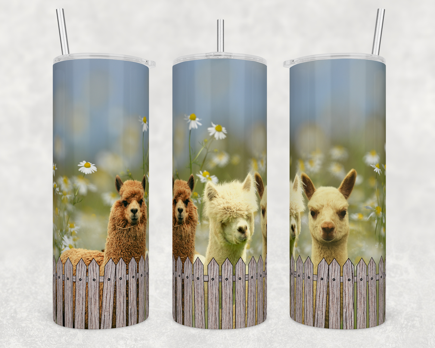 Llama Fence